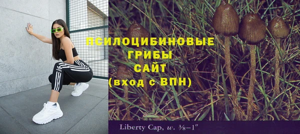 прущий лед Балабаново