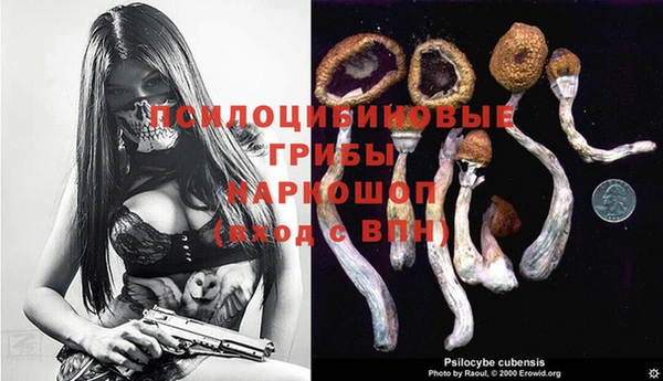 ALPHA PVP Беломорск