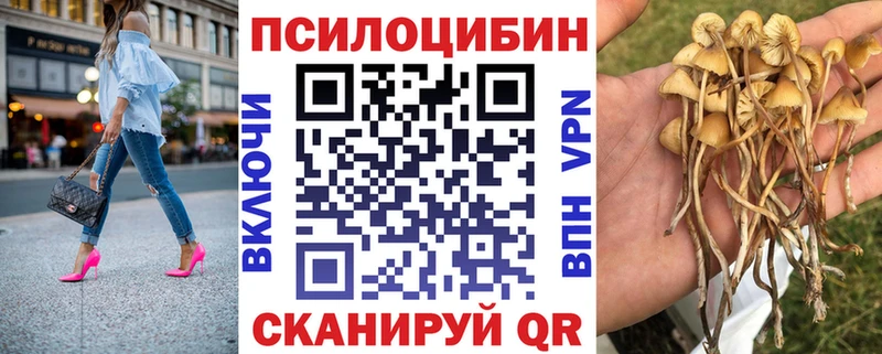 ОМГ ОМГ зеркало  Петрозаводск  Псилоцибиновые грибы Cubensis  что такое  